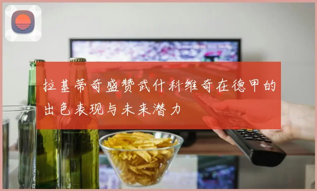 拉基蒂奇盛赞武什科维奇在德甲的出色表现与未来潜力