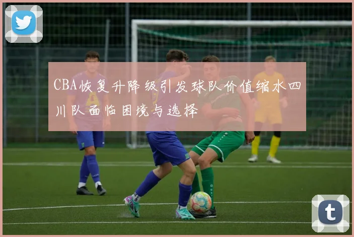 CBA恢复升降级引发球队价值缩水四川队面临困境与选择
