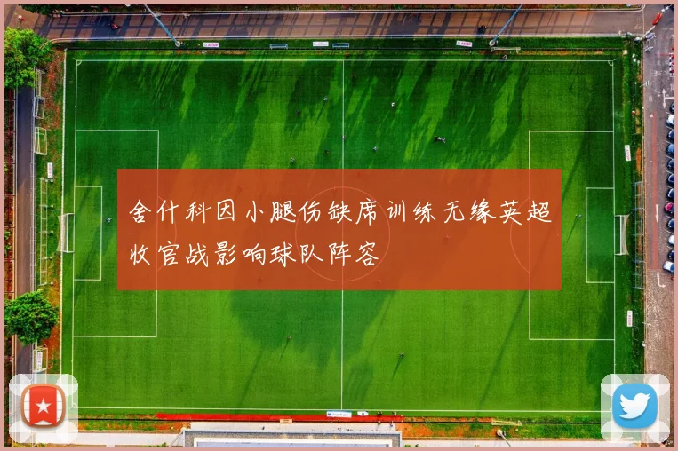 舍什科因小腿伤缺席训练无缘英超收官战影响球队阵容