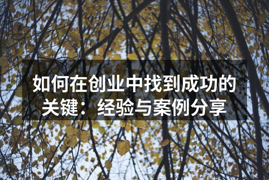如何在创业中找到成功的关键：经验与案例分享